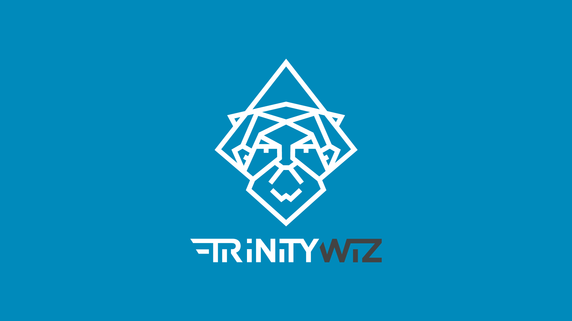Trinity Wiz